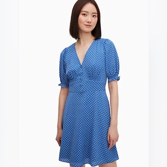 Kate Spade Tea garden Cornflower Blue white  Lined Mini Dress V Neck 10 - Picture 1 of 13